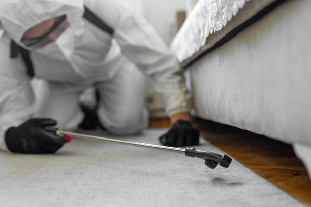 Professional Pest Control technician working in Sedgwick, KS