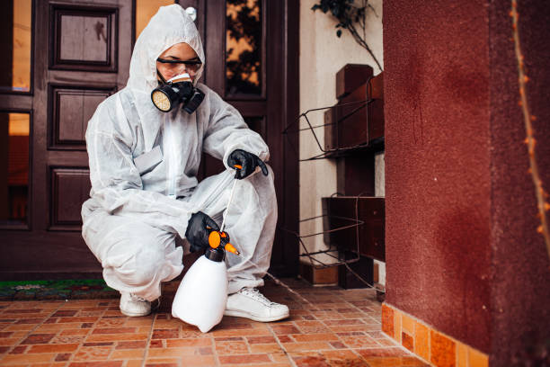 Reliable Bed Bug Control contractor in Sedgwick, KS by Nex Pest Control