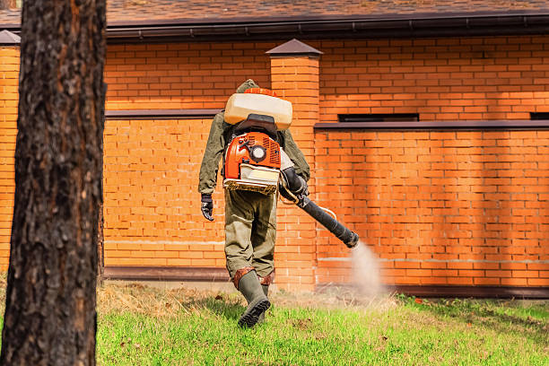 Trusted Cockroach Control service in Sedgwick, KS - Nex Pest Control